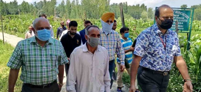 Union Additional Secretary visits vegetable clusters of Maloora, Srinagar Union Additional Secretary visits vegetable clusters of Maloora, Srinagar