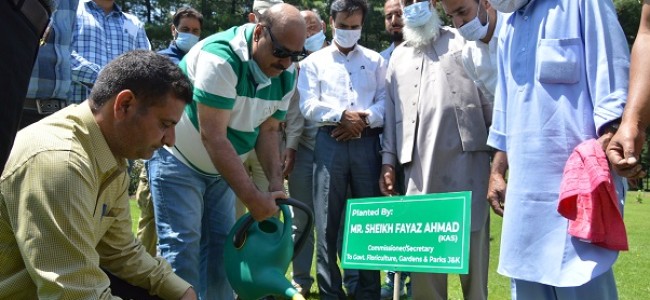 Comm Secy Floriculture lays foundation of Hydrangea Theme Garden Tangmarg, Lupine Theme Garden Gulmarg Comm Secy Floriculture lays foundation of Hydrangea Theme Garden Tangmarg, Lupine Theme Garden Gulmarg