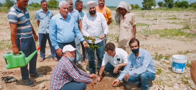 High Density fruit plantation drive launched in Jourian High Density fruit plantation drive launched in Jourian