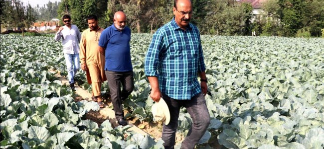 Director Agriculture Kashmir conducts extensive tour of Chadoora Director Agriculture Kashmir conducts extensive tour of Chadoora