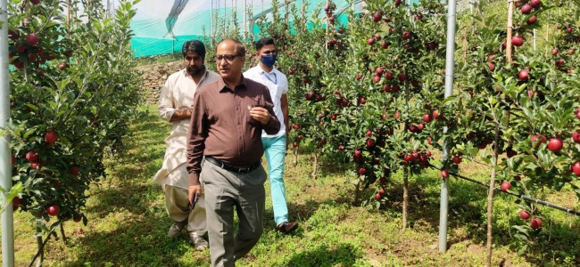 DG Horticulture visits Kangan, Gbl DG Horticulture visits Kangan, Gbl