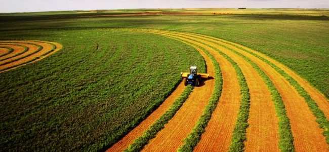 A warming world is affecting Indian agriculture, industries A warming world is affecting Indian agriculture, industries