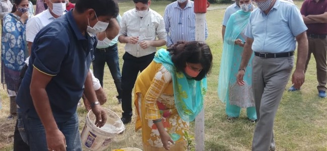 Plantation Drive conducted across Treasuries of Jammu Province Plantation Drive conducted across Treasuries of Jammu Province