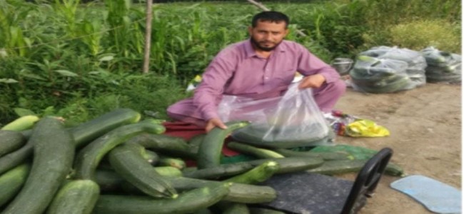 Vegetable grower of Maloora Srinagar becomes job provider from job seeker Vegetable grower of Maloora Srinagar becomes job provider from job seeker