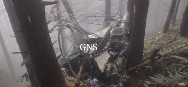 Helicopter crash at Udhampur leave two pilots dead Helicopter crash at Udhampur leave two pilots dead