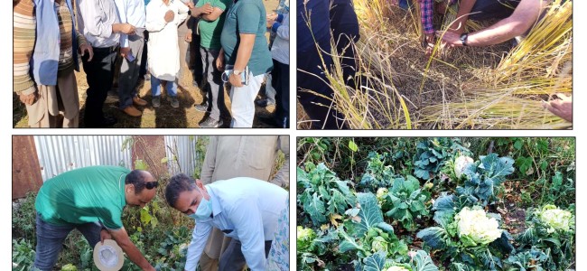 Director Agriculture Kashmir visits hailstorm affected areas of Kupwara Director Agriculture Kashmir visits hailstorm affected areas of Kupwara