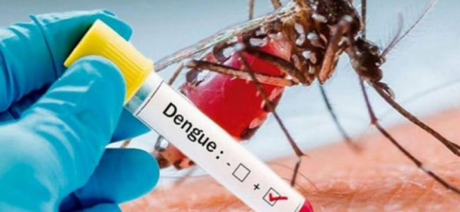 Dengue: Centre Sends Expert Teams To 9 States, UTs Reporting High Number Of Cases