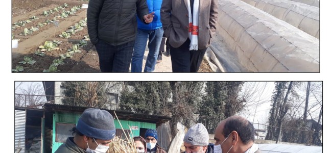 Director Agriculture Kashmir visits Ganderbal Director Agriculture Kashmir visits Ganderbal