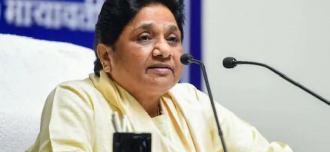 Mayawati Will Not Contest Polls: BSP Leader SC Mishra Mayawati Will Not Contest Polls: BSP Leader SC Mishra