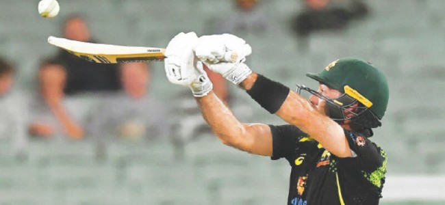 Untroubled Australia crush Sri Lanka to make it 4-0