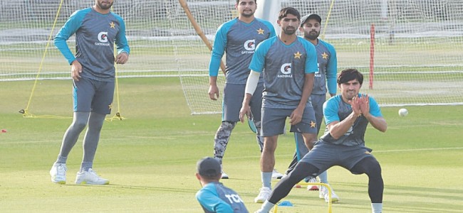 Haris looks to make up for lost opportunity in Australia ODIs