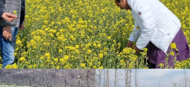 Director Agriculture Kashmir visited District Pulwama Director Agriculture Kashmir visited District Pulwama