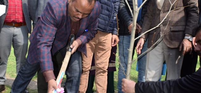 Div Com Kashmir inaugurates Chinar Plantation Drive at Nishat Garden Div Com Kashmir inaugurates Chinar Plantation Drive at Nishat Garden