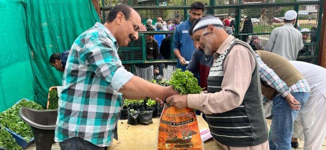 Director Agriculture inaugurates 2nd phase of Vegetable seedling distribution at Lalmandi Director Agriculture inaugurates 2nd phase of Vegetable seedling distribution at Lalmandi