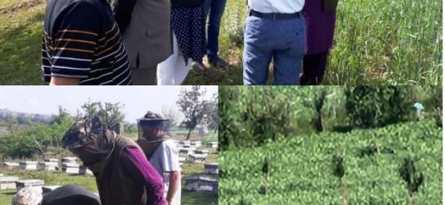 Director Agriculture Kashmir visits Khansahib, Budgam Director Agriculture Kashmir visits Khansahib, Budgam