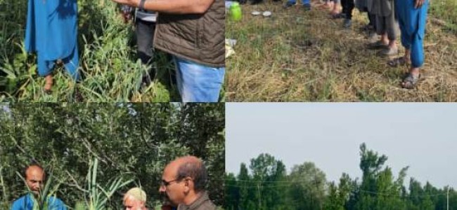 Director Agriculture Kashmir visits different areas of Pulwama; interacts with Vegetable growers