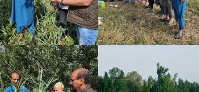 Director Agriculture Kashmir visits different areas of Pulwama; interacts with Vegetable growers Director Agriculture Kashmir visits different areas of Pulwama; interacts with Vegetable growers