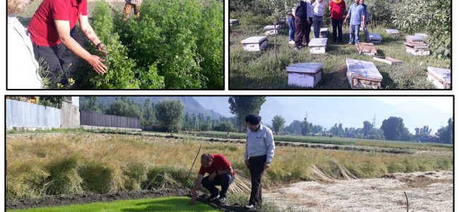 Director Agriculture advocates for increase in vegetable seedling production using greenhouse technique  Director Agriculture advocates for increase in vegetable seedling production using greenhouse technique