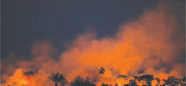 Fires in Brazil’s Amazon surge in September, worst month since 2010 Fires in Brazil’s Amazon surge in September, worst month since 2010