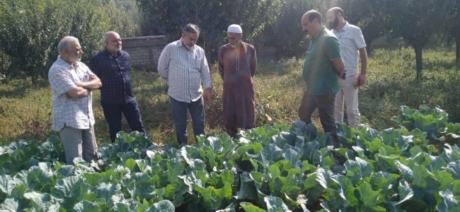 Director Agriculture Kashmir visits Khanda, B.K Pora zones of Sub-division Chadoora Director Agriculture Kashmir visits Khanda, B.K Pora zones of Sub-division Chadoora