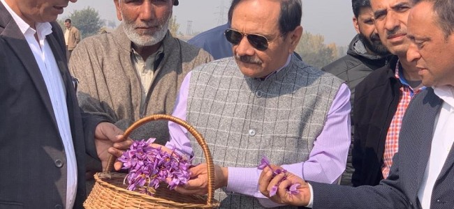 Advisor Bhatnagar visits IIKSTC Pampore, reviews its functioning Advisor Bhatnagar visits IIKSTC Pampore, reviews its functioning
