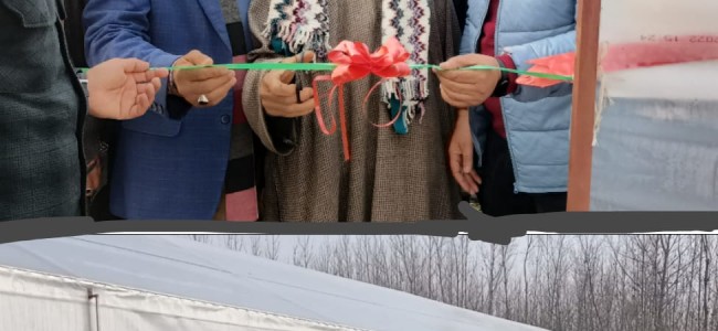 Director Agriculture Kashmir inaugurates 3 Semi Hi-tech Polyhouses Director Agriculture Kashmir inaugurates 3 Semi Hi-tech Polyhouses