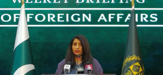 Iran asked to punish culprits involved in Panjgur attack Iran asked to punish culprits involved in Panjgur attack
