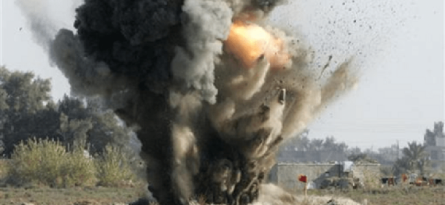 Syria landmine blasts kill 10 truffle hunters Syria landmine blasts kill 10 truffle hunters