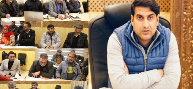 DC Srinagar reviews physical and financial progress under R&B, Education, PHE and Health Sectors