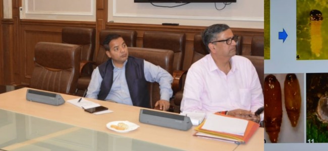 Dulloo chairs meeting regarding early emergence of pests in districts Dulloo chairs meeting regarding early emergence of pests in districts
