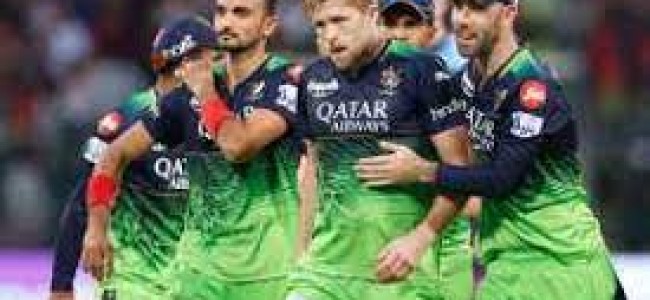 RCB recover better than they slip RCB recover better than they slip