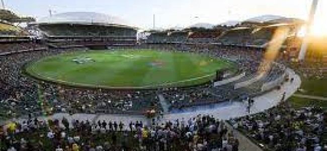 ‘We are urging ICC and national boards to come together’ – Lisa Sthalekar on cricket’s future ‘We are urging ICC and national boards to come together’ – Lisa Sthalekar on cricket’s future