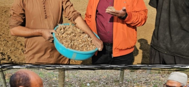 Director Agriculture visits Saffron Areas of Pampore Director Agriculture visits Saffron Areas of Pampore