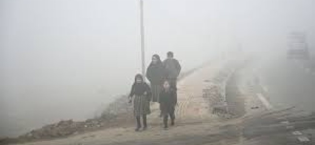 Dense fog blankets Kashmir, Pahalgam coldest at minus 4.6 degree Celsius Dense fog blankets Kashmir, Pahalgam coldest at minus 4.6 degree Celsius