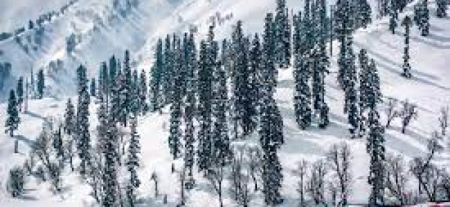 Gulmarg Receives Season’s First Snowfall, Rain Lash Kashmir Plains Gulmarg Receives Season’s First Snowfall, Rain Lash Kashmir Plains