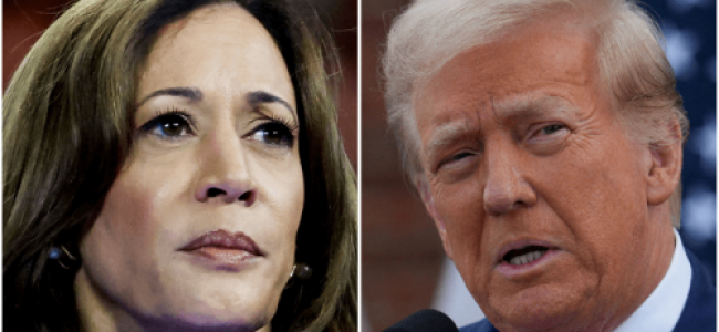 Trump’s cemetery visit ‘disrespectful’ stunt: Kamala Harris Trump’s cemetery visit ‘disrespectful’ stunt: Kamala Harris